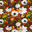 [S1811R-3682] [S1811R] Jersey Druk Cyfrowy Kolorowi Rebelianci (Design B)